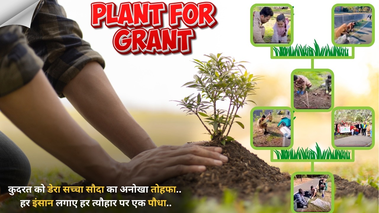 धरती को हरा-भरा बनाने की मुहिम: ऑस्ट्रेलिया में साध संगत ने किया पौधारोपण