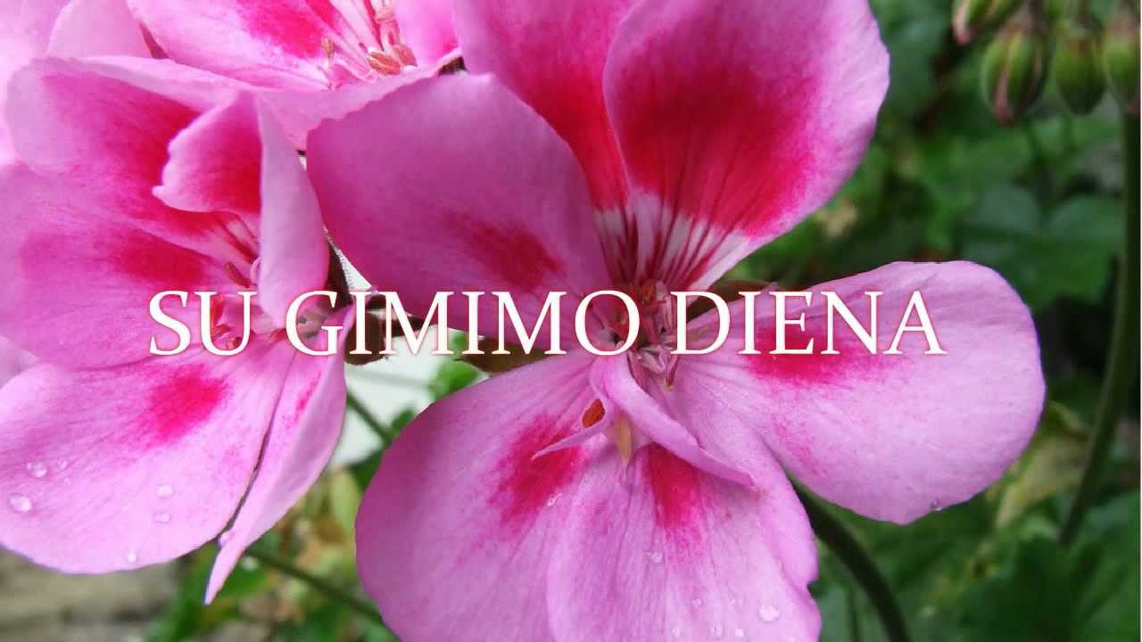 Su Gimimo Diena
