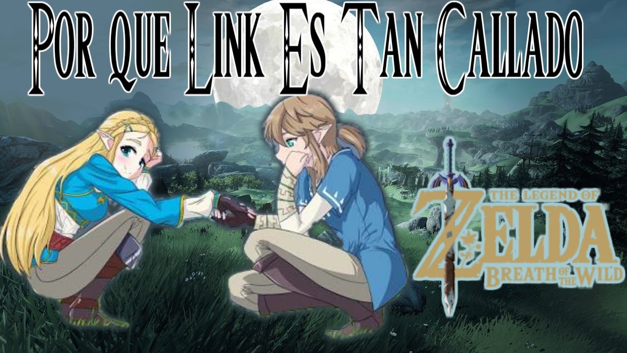 Por que link no habla (diario de la princesa zelda)