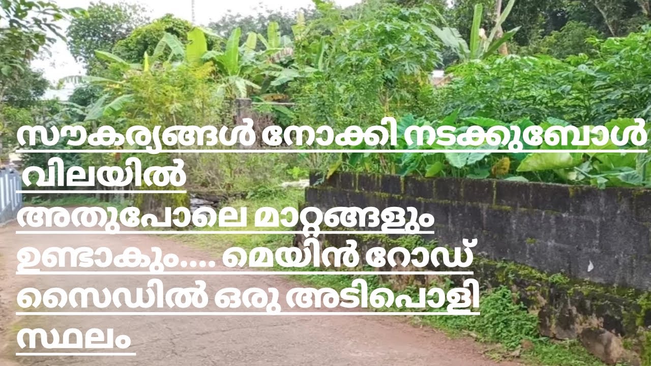 #forsale kerala kottayam changanacherry thengana|34.5 cent|സ്ഥലം വില്പനക്ക്