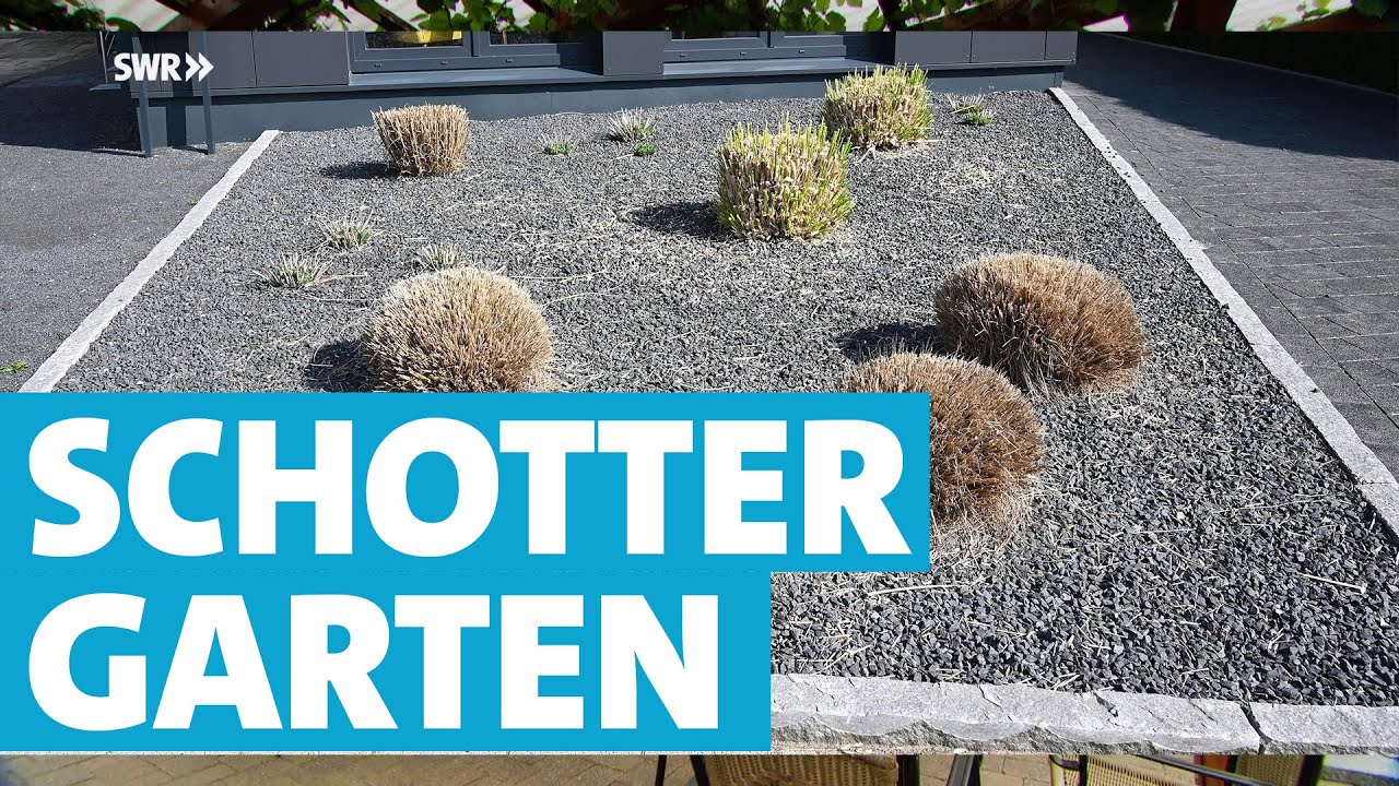 Warum Schottergärten unserer Umwelt schaden