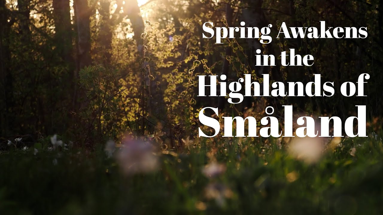 Slow Nature Vlog in the Highlands of Sm&aring;land
