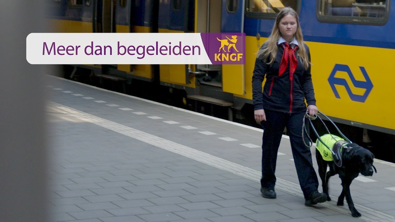 Meer dan begeleiden - Anna en blindengeleidehond Roos