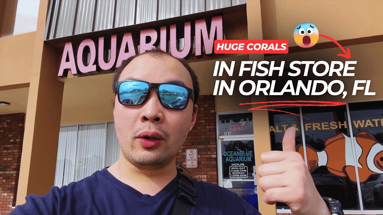 Local Store Tour Vlog | Huge Corals in Freshwater and Saltwater Fish Store in Orlando, FL!