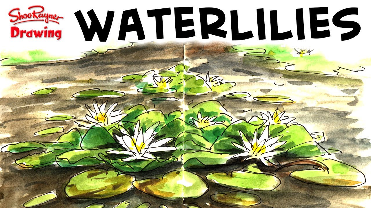Live Sketching Waterlilies in water colour + free hi res scan!