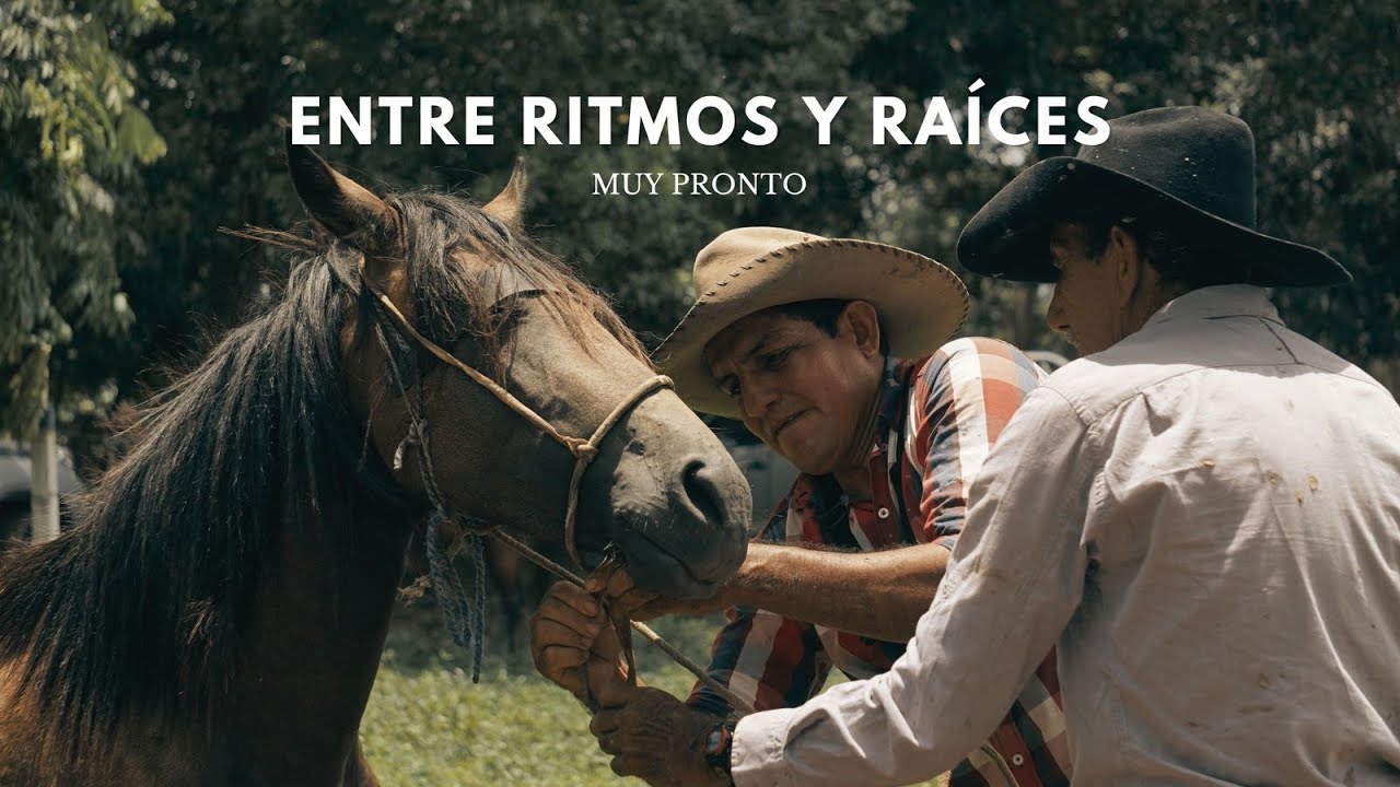 Entre ritmos y raíces - Evolución generacional de la música llanera