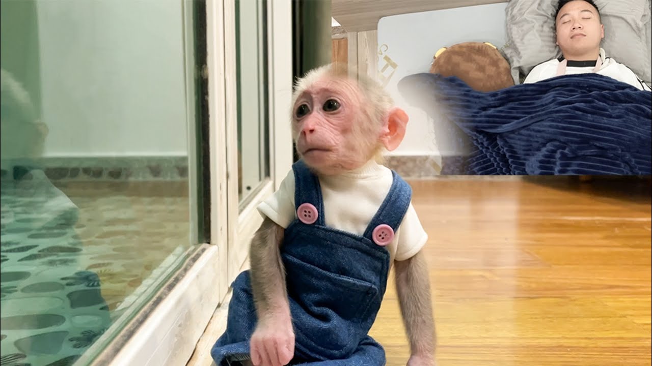 Cubis panicked wake up in the night running to find Dad