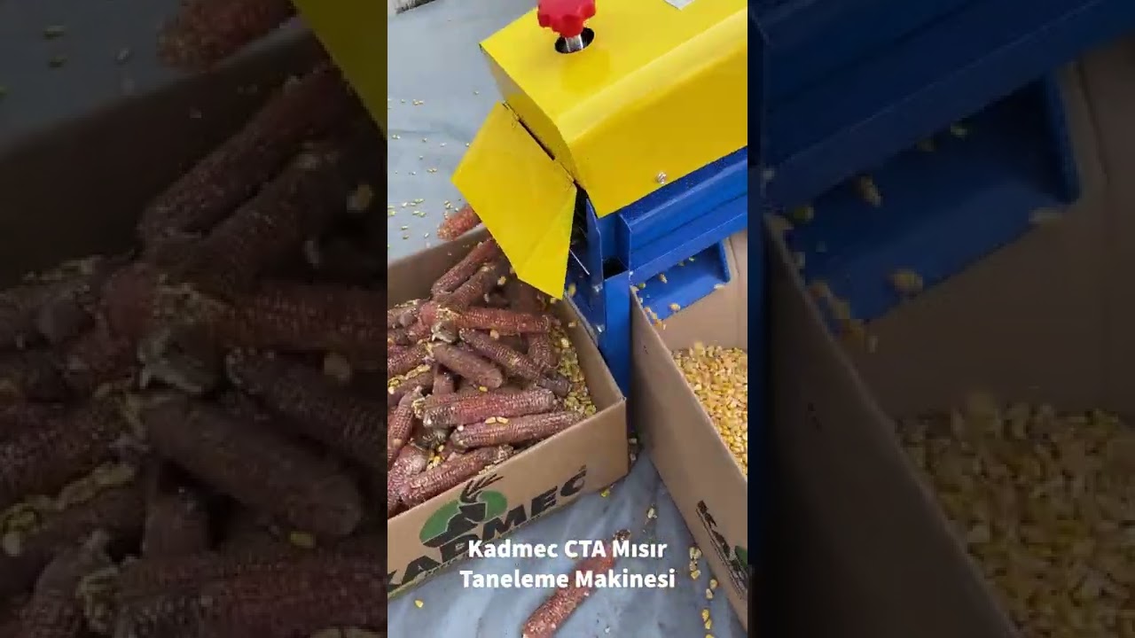 Kadmec CTA Mısır Taneleme (Ko&ccedil;an Ayırma Makinesi)