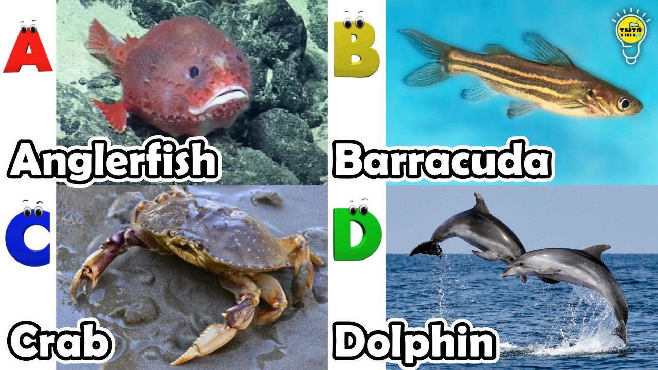 Песенка про морских животных ABC | Изучаем алфавит | Английский язык и животные для детей | #рыба...