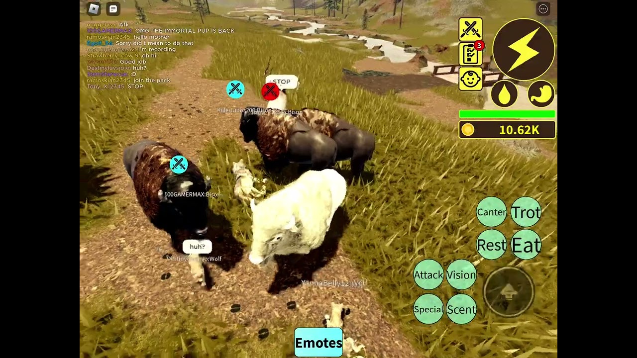 The white bison[ yellowstone unleashed