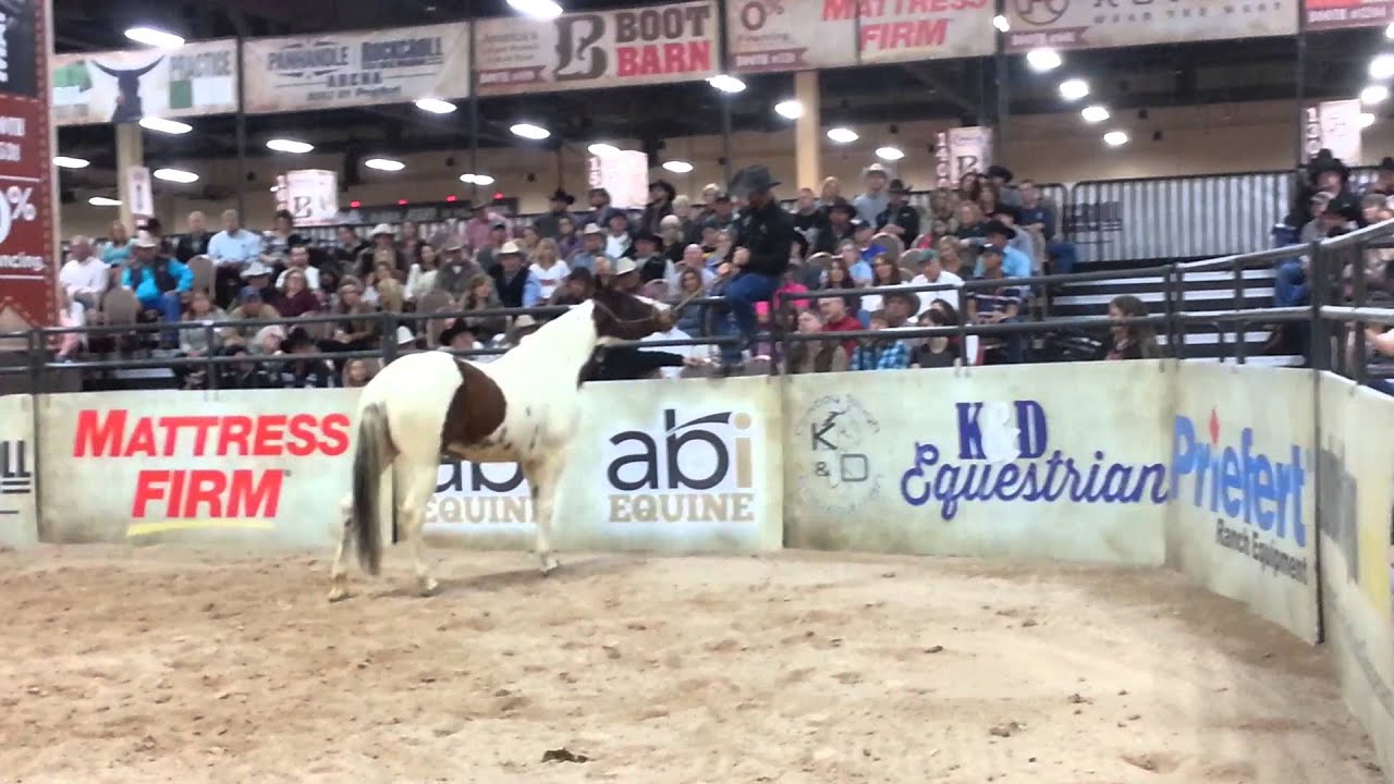Chris Cox and Cheyenne 12-11-2015