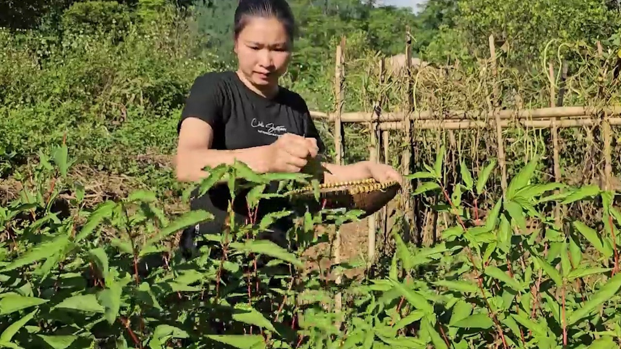 Single Mother Looks for Parents for Her Abandoned Child After Her Husband Destroys Their Home
