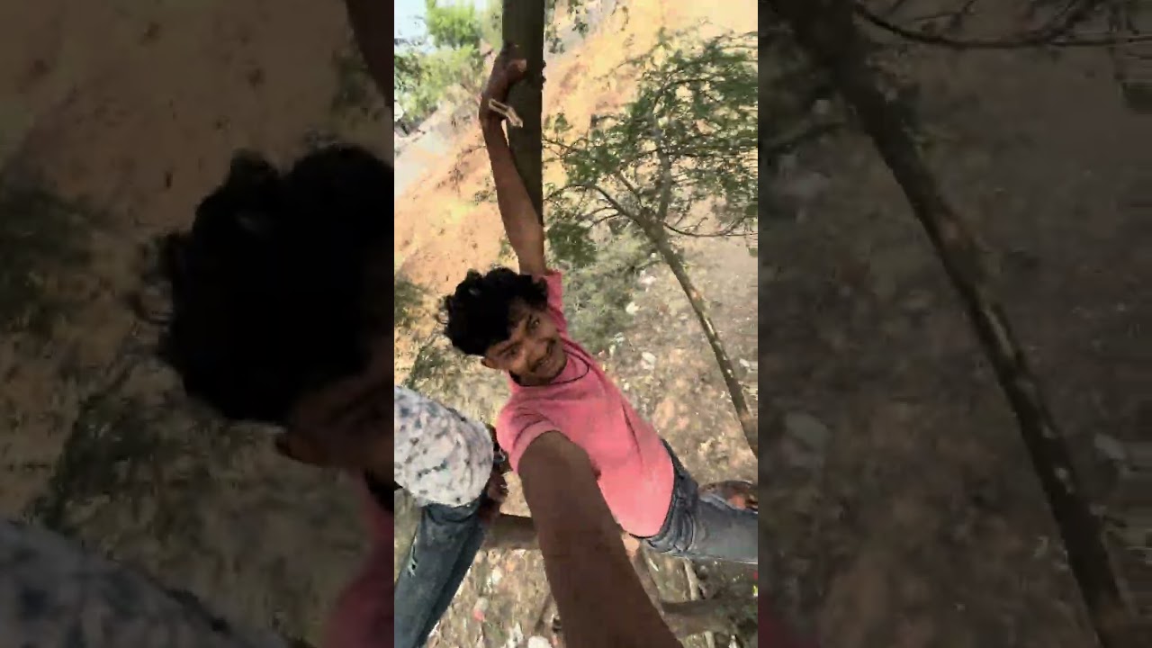 New tree house 🏡 #trees #house #treehouse #trending #fun 