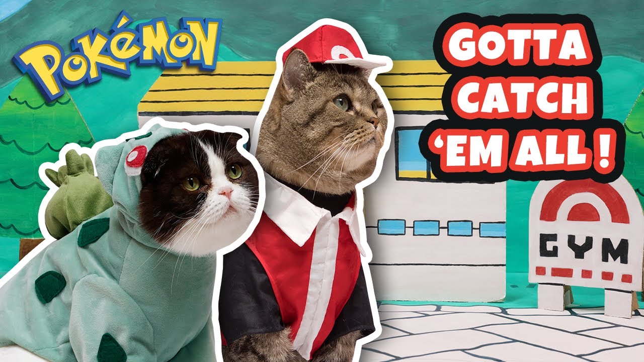 Entire Pokemon Story in Three Minutes | Cat Edition