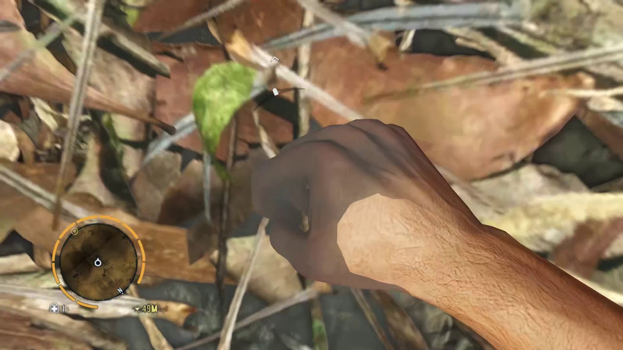 Lin Cong I Presume ?  : far cry 3 Gameplay