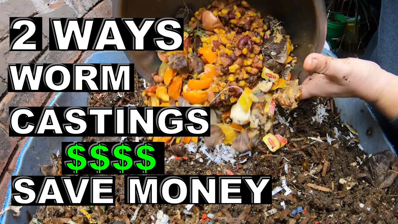 2 Ways Worm CASTINGS can save you $$- European Night Crawlers