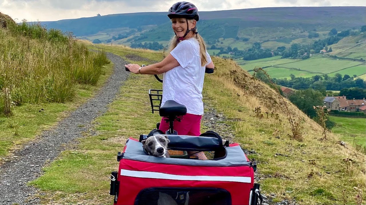 Fiido T1 Utility EBike & Whippet Transport :-)