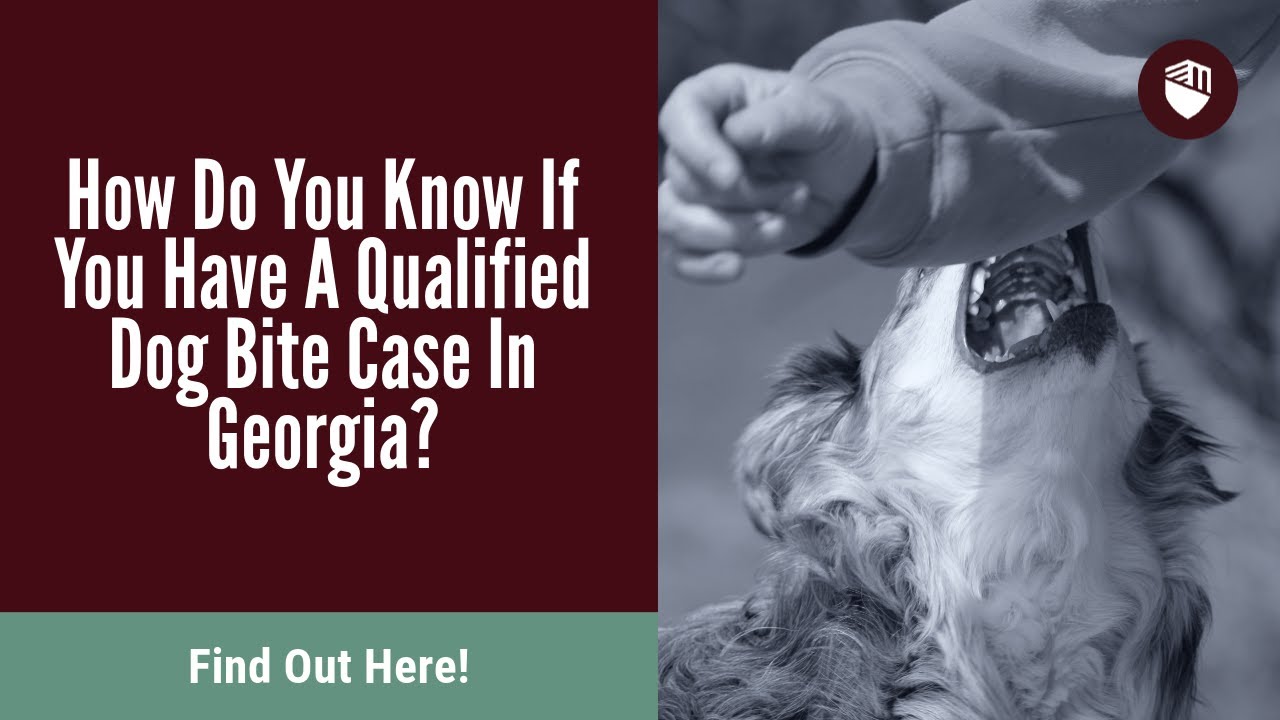 How Do You Know If You Have A Qualified Dog Bite Case In Georgia? Find Out Here!