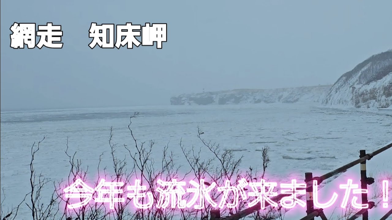 今年も網走に帰り流氷を見てきました！
