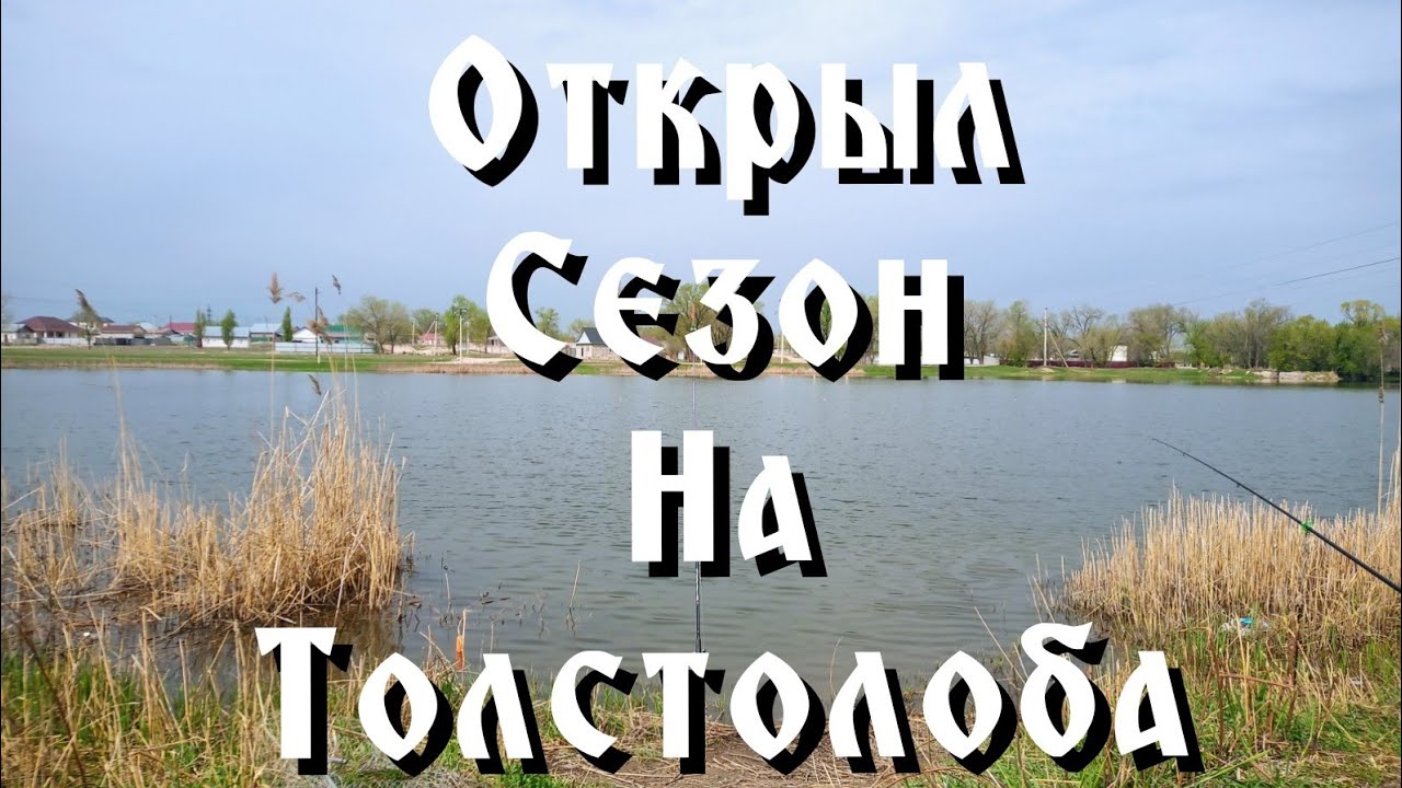 Рыбалка на толстолоба. Озеро 