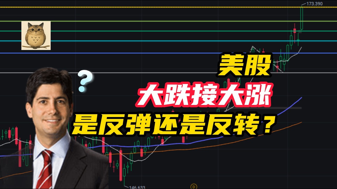美股 大跌接大涨 是反弹还是反转？2月08下周美股走势预期