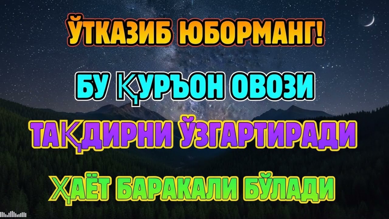 РИЗҚ ТЎХТАБ ҚОЛДИМИ? ҚУРЪОН ОВОЗИ БИЛАН БАРАКА ҚАЙТА ОЧИЛАДИ