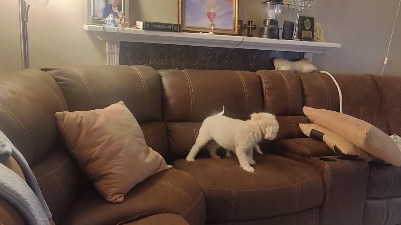 Juliette and Louisa finally playing