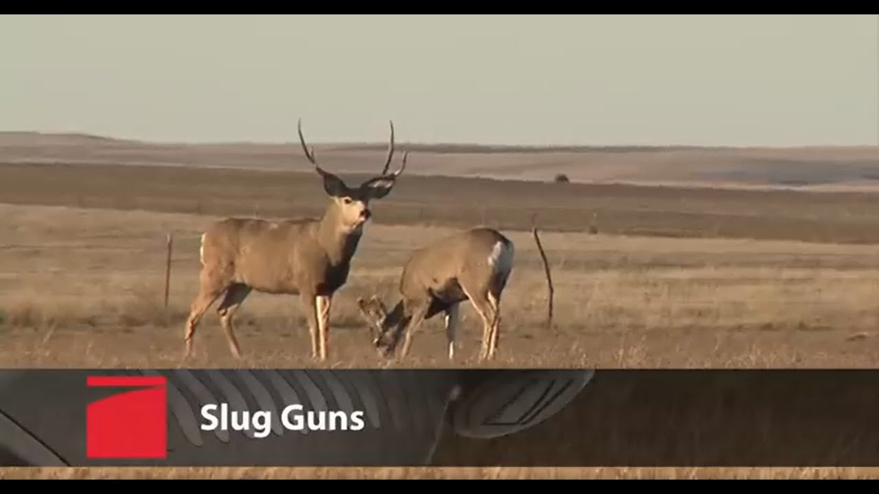 Benelli Slug Guns