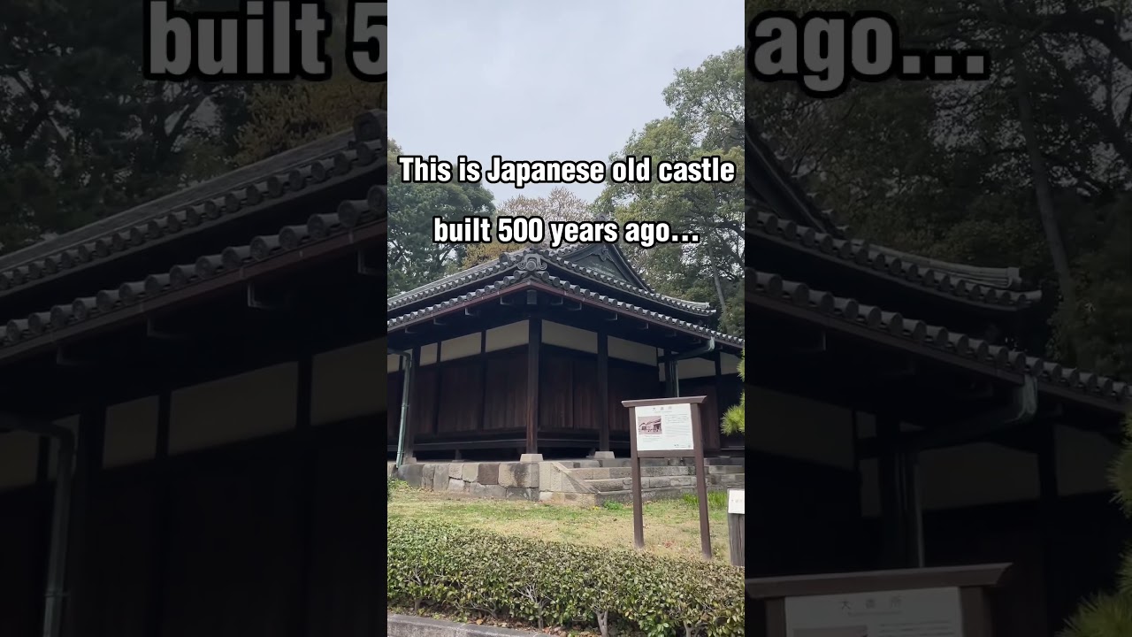 Imperial Palace of Japan #travel #japan #tokyo #vlog