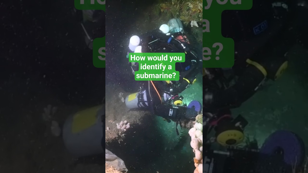 How a WW1 Submarine Was Identified After 100 Years Underwater 