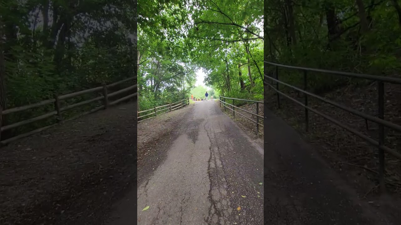 Walk in Toronto Park near Avenue road #torontolife #walkingaround #urbanwalk