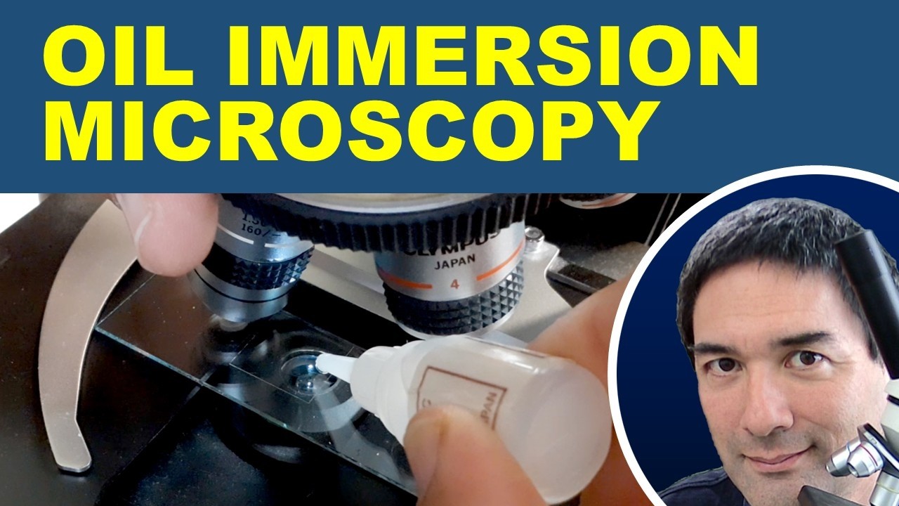 🔬High Magnification Microscopy