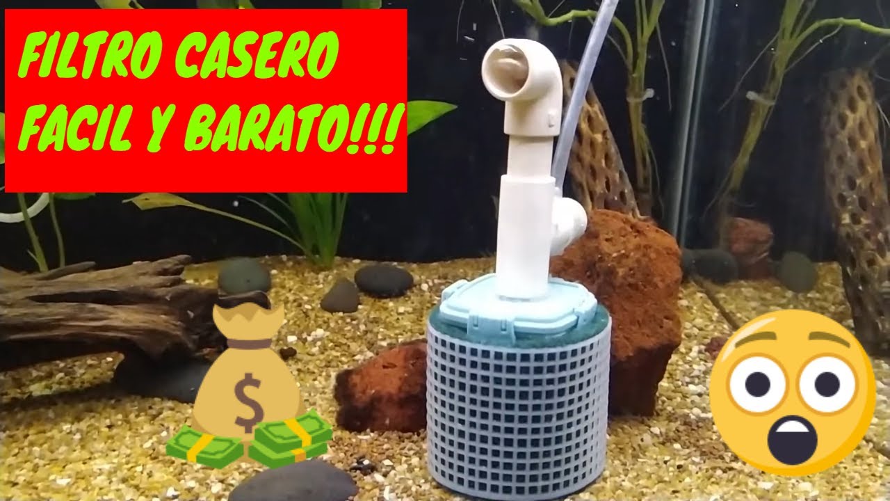 💪😎 COMO HACER UN FILTRO CASERO // FILTRO DE ESQUINA  HAZLO TU MISMO FILTRO CASERO #aquahobbycancun