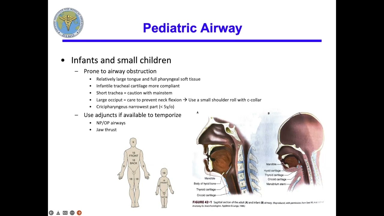 Pediatric Trauma