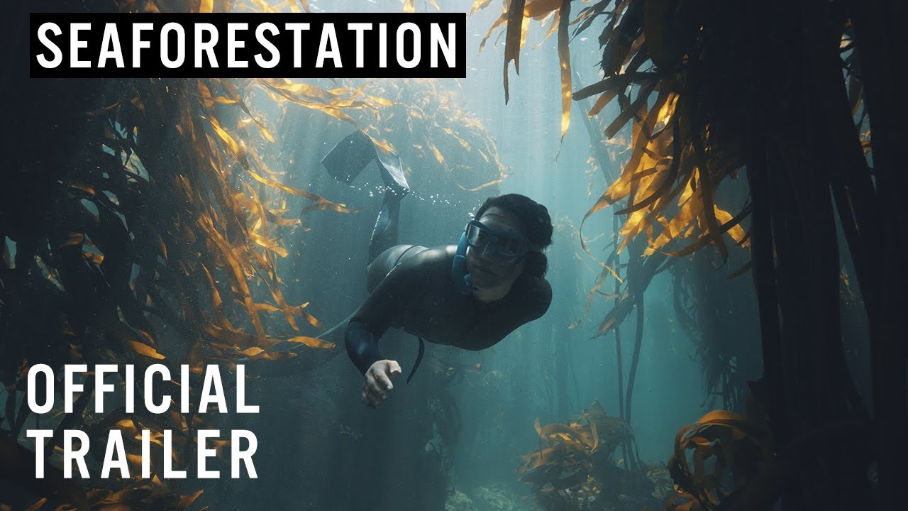 Seaforestation | Official Trailer