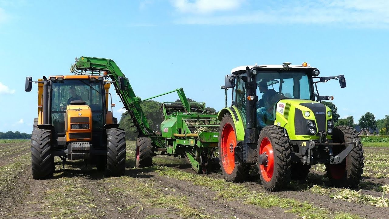 Biologische uien opladen en sorteren. Agro Service Tuenter Westerlee.
