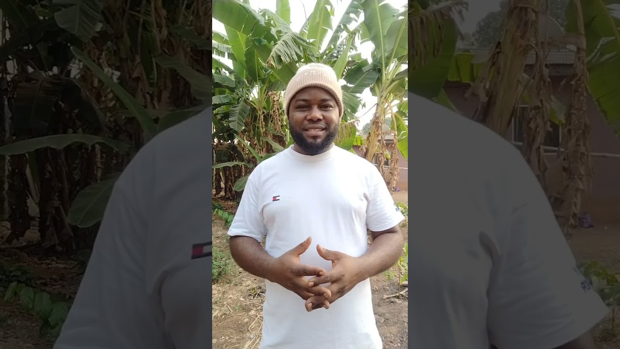How to get farmland for farming. #FarmingMentorshipProgram #AgriculturalTraining