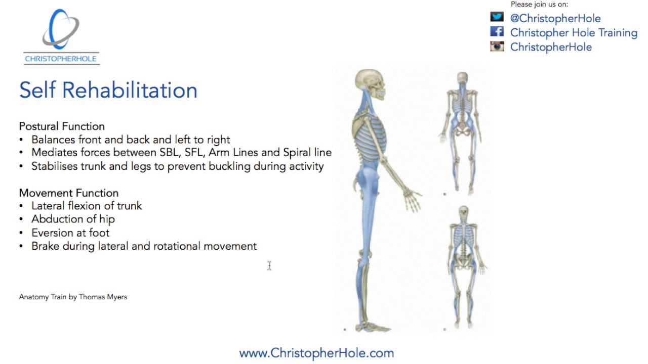 Rehabilitate: Lateral Line