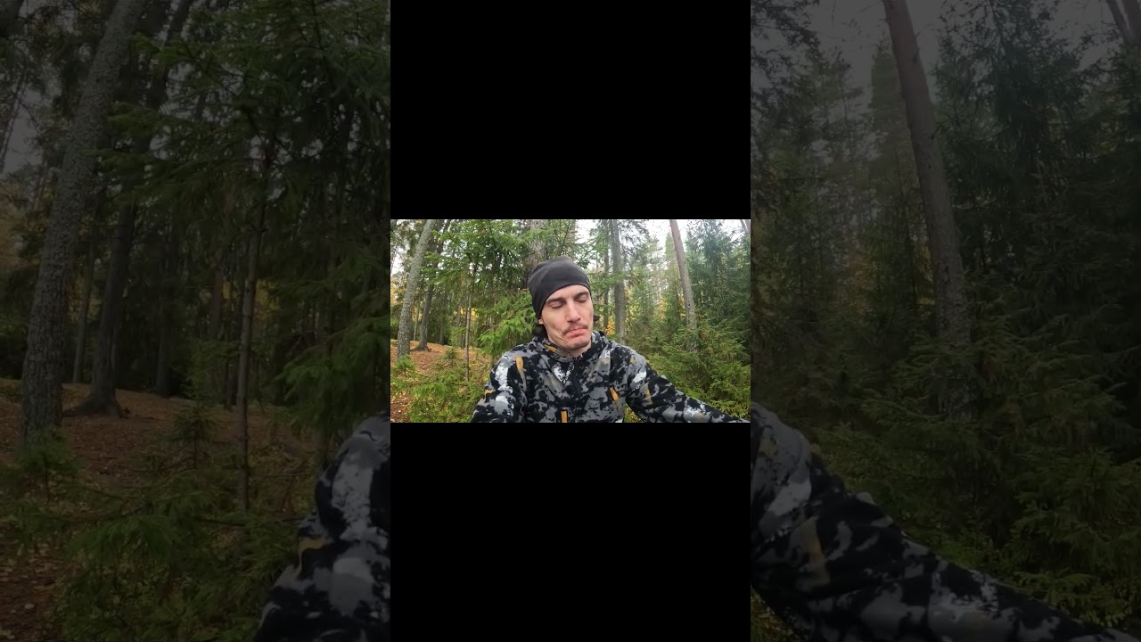 &laquo;Пантерный Мухомор и Матрица Бога&raquo;