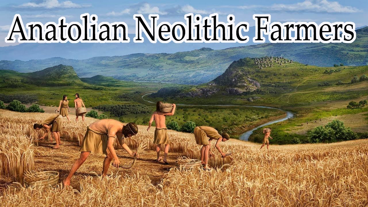 Anatolian Neolithic Farmers