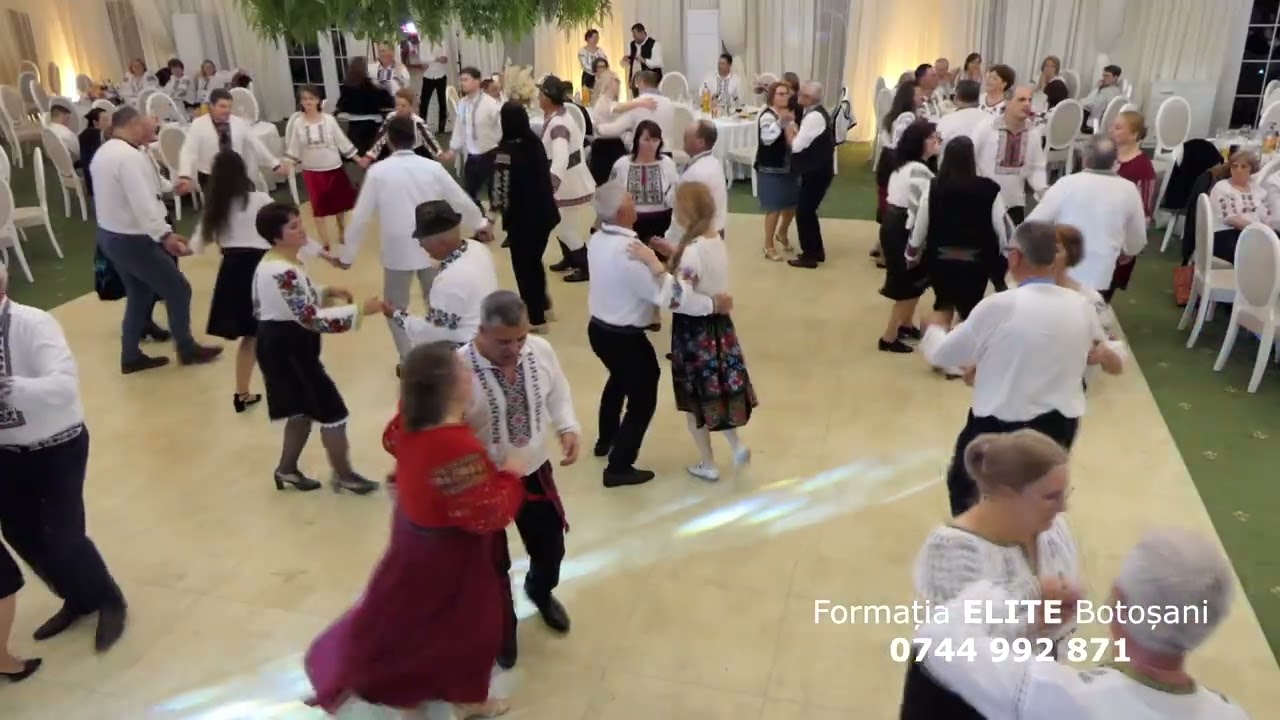 Batute moldovenesti instrumentala Formatia Elite Botosani 0744 992 871