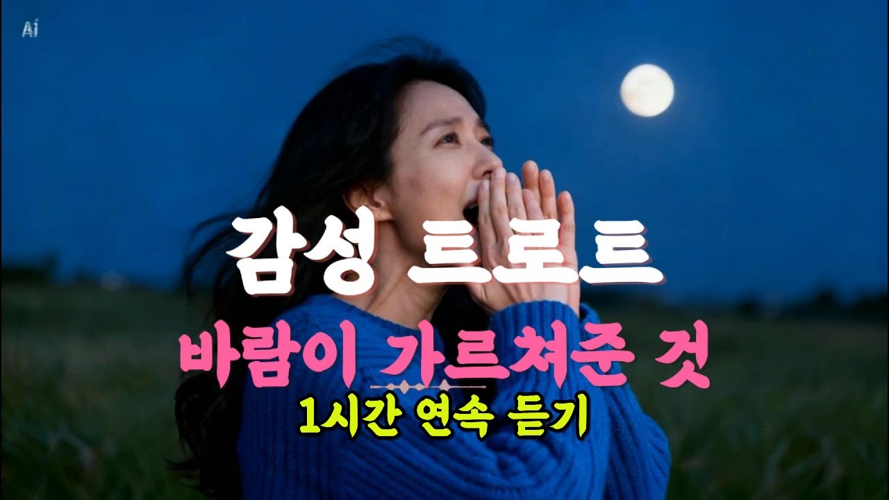 바람이 가르쳐준 것, #중년트로트 #중년애창곡 #7080감성