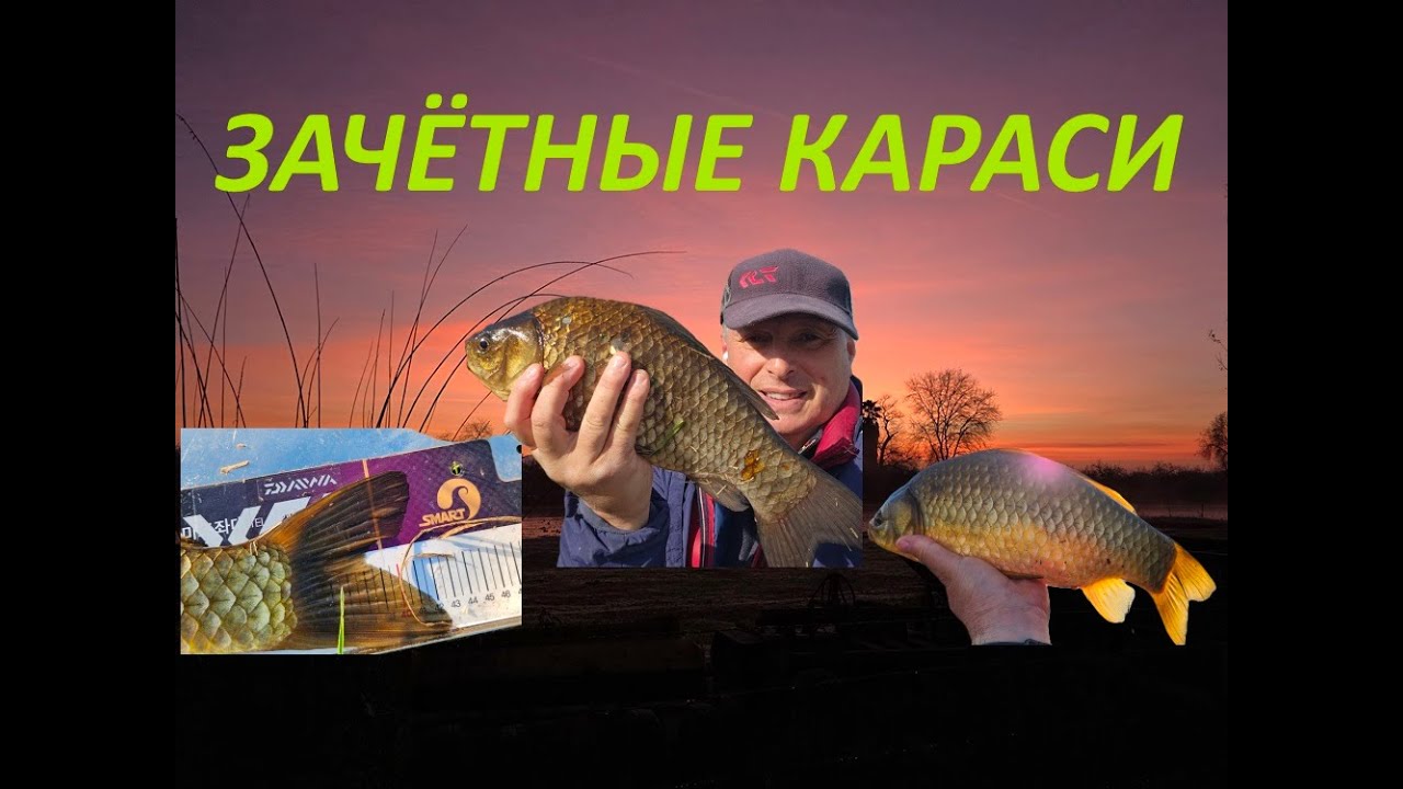 ХЕРАБУНА -  ЗАЧЁТНЫЕ КАРАСИ! へら