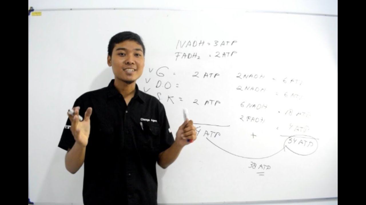 Video Pembelajaran Biologi Metabolisme