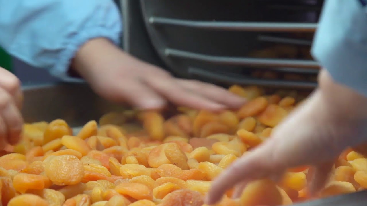 Dogancan Dried Fruit Factory
