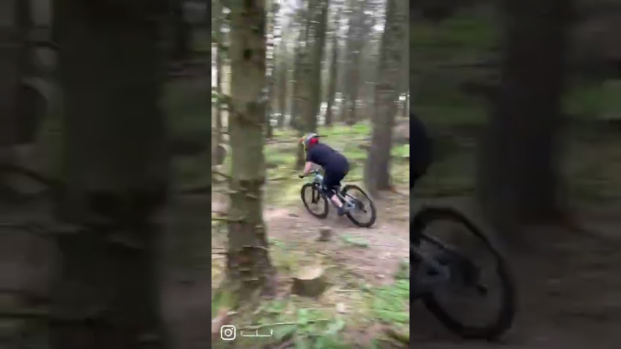 THE LOCAL (SetMurphy) 🍩🚴‍♀️ 