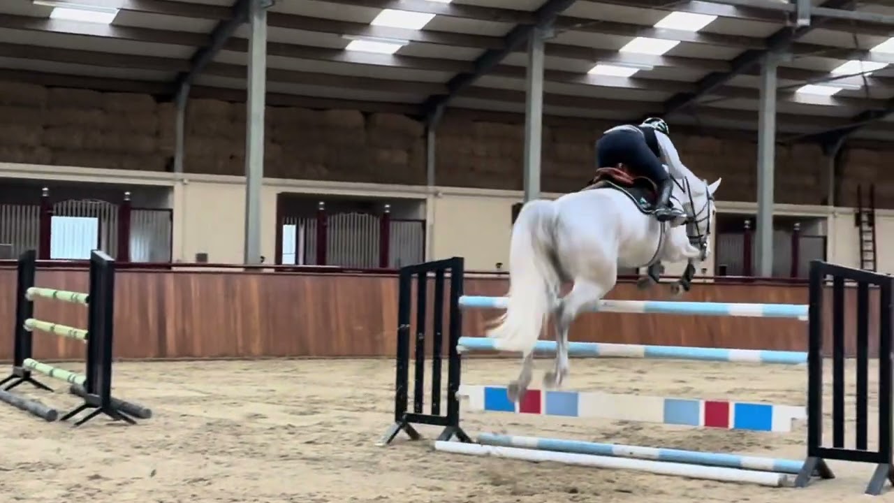 Never Give Up ( Cicero x Heartbreaker)