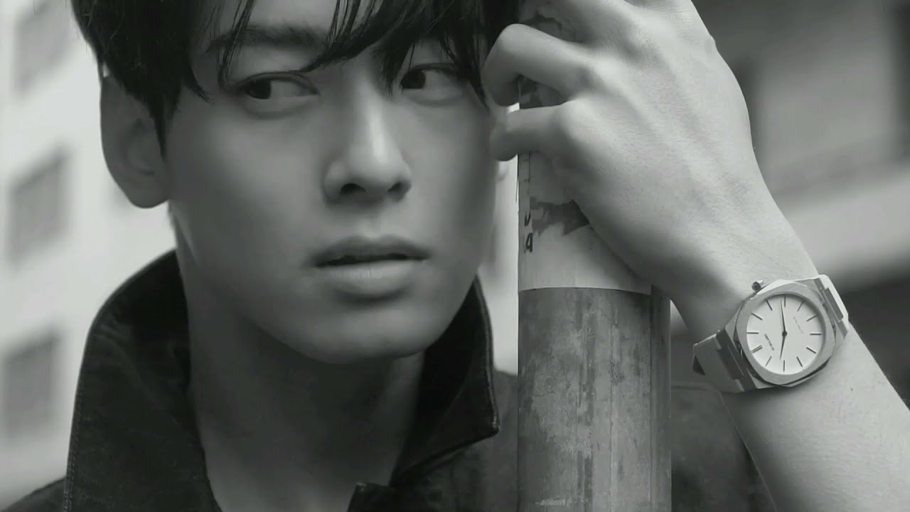 FMV Cha Eun Woo