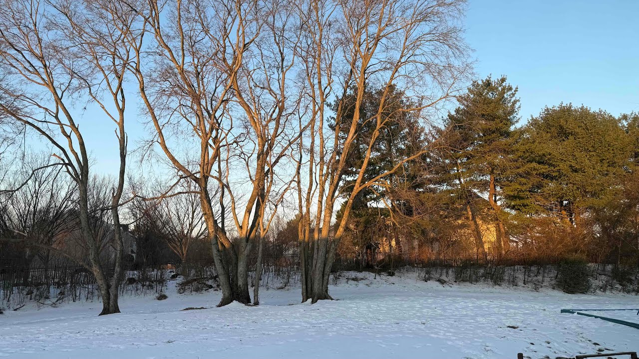 mohona usa is live! morning sunrise,amazing morning 😇