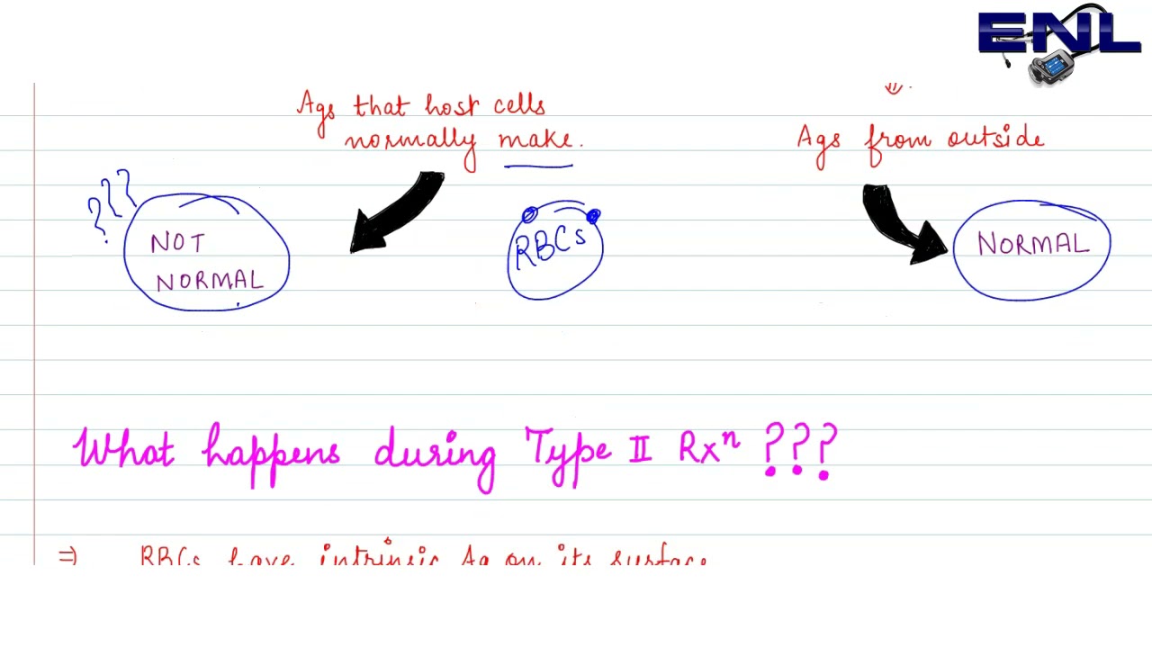 Type 2 Hypersensitivity Reaction || Microbiology